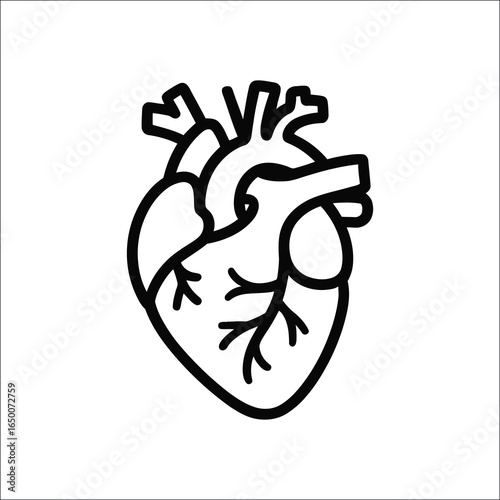 Cardiovascular system line art illustration isolated on white background isolated on transparent background
