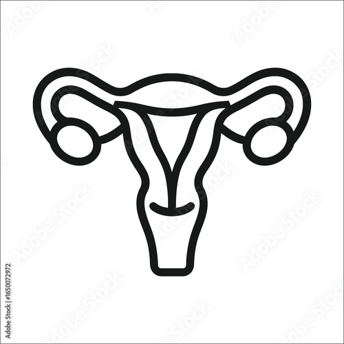 Human reproductive system anatomy diagram isolated on white background isolated on transparent background