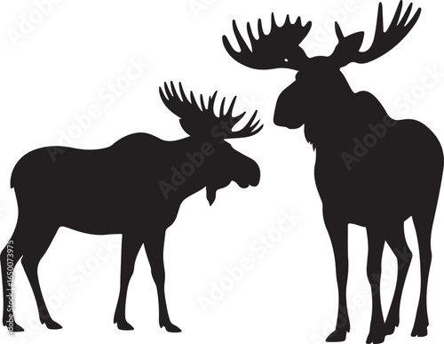 Two Black Silhouette Moose with Large Antlers on White Background animal wildlife
