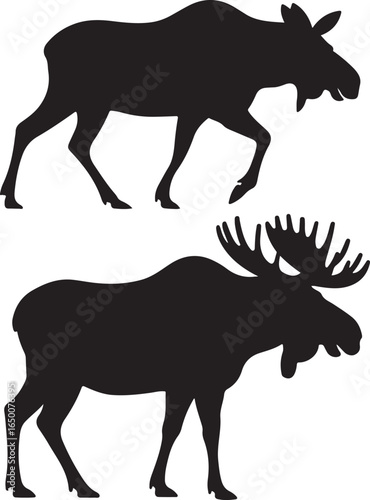 Two Moose Silhouettes One Male With Antlers On White Background animal wildlife