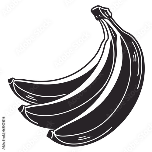 Bunch of bananas fruit black and white