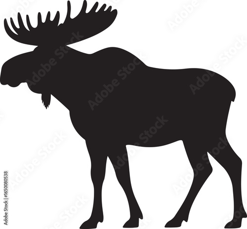 Silhouette of a male moose with large antlers standing on a white background animal wildlife