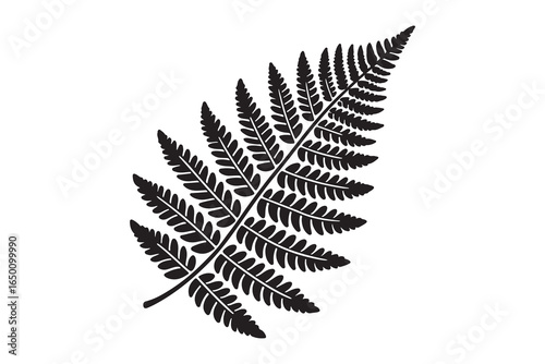 Silhouette of a fern plant against white background. Vector retro hand drawn illustration