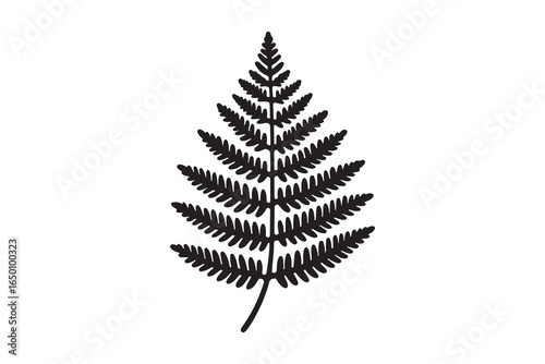 Silhouette of a fern plant against white background. Vector retro hand drawn illustration