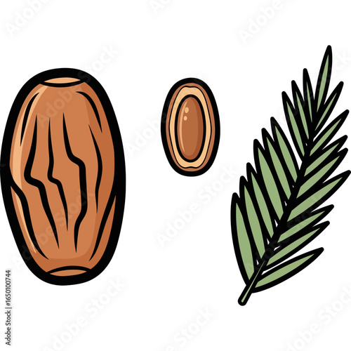 Dates and Palm Leaf Illustration - A Healthy Snack and Tropical Element