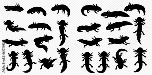 A collection of black axolotl silhouettes in various dynamic poses, including walking, swimming, and standing, viewed from different angles.