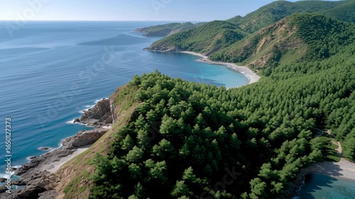 Coastal landscape with green forest on rocky cliffs beside clear ocean water and sandy beach under bright sunlight natural nature scenery