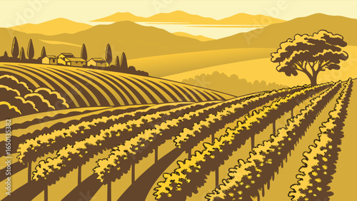 Illustration of a vineyard with rows of grape vines leading to a distant landscape scene view