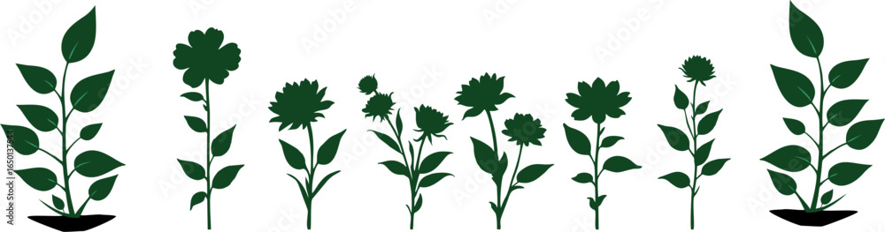 Fototapeta premium Set of different flowers in green colour 