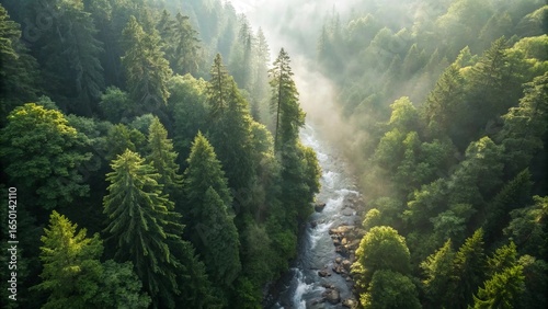 Lush green forest with misty atmosphere and sunlight filtering through tall trees, featuring a river winding gracefully through the dense foliage, creating a serene natural scene
