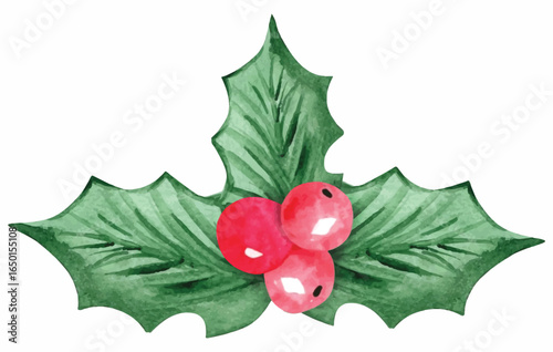 Cherry with leaf decoration christmas