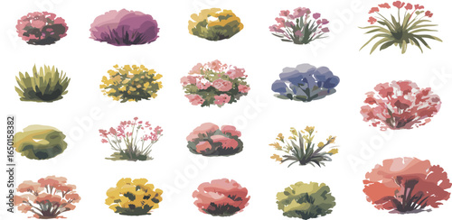 PriColorful flower bushes, vibrant garden plants, blooming shrubs collection, nature floral set, decorative botanical elements, landscape design, spring blossoms, ornamental gardeningnt