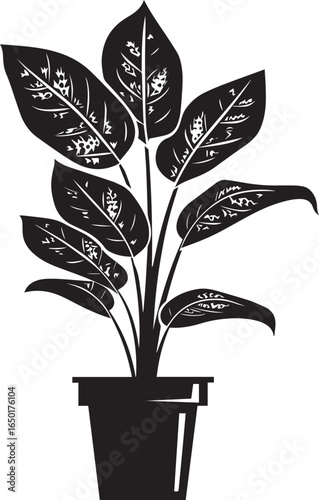 Dieffenbachia - Dumb Cane icon clean simple silhouette