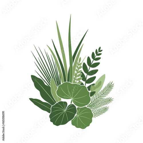Tropical jungle greenery leaves plant foliage exotic botanical arrangement