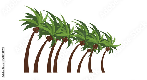 A row of tropical palm trees with coconuts, leaning heavily to one side as if caught in a strong wind or hurricane.