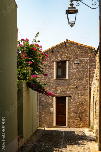Sardara, Sardinia, Italy A little sunny alley with flowers and a stone house.