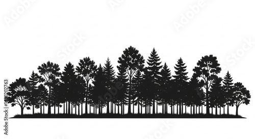 Silhouette forest landscape vector illustration of trees woodland evergreen and deciduous forest background design