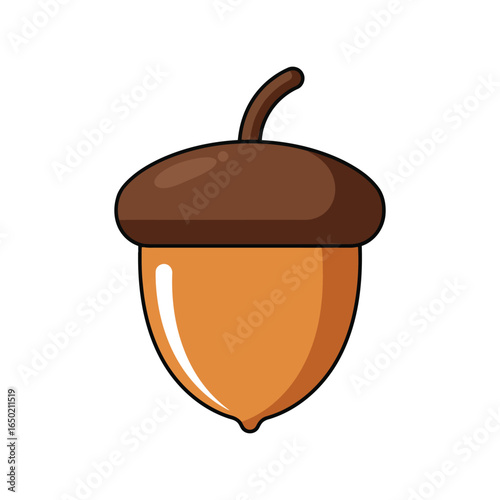 Cartoon acorn illustration oak nut autumn harvest nature food isolated vector graphic