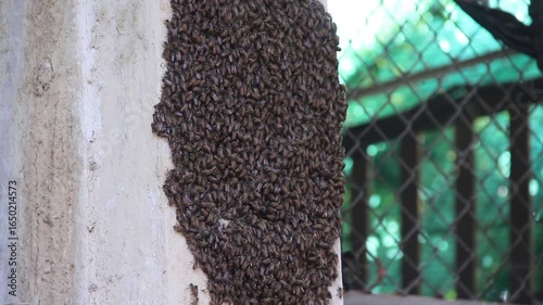 
Bees on wood house box  background	