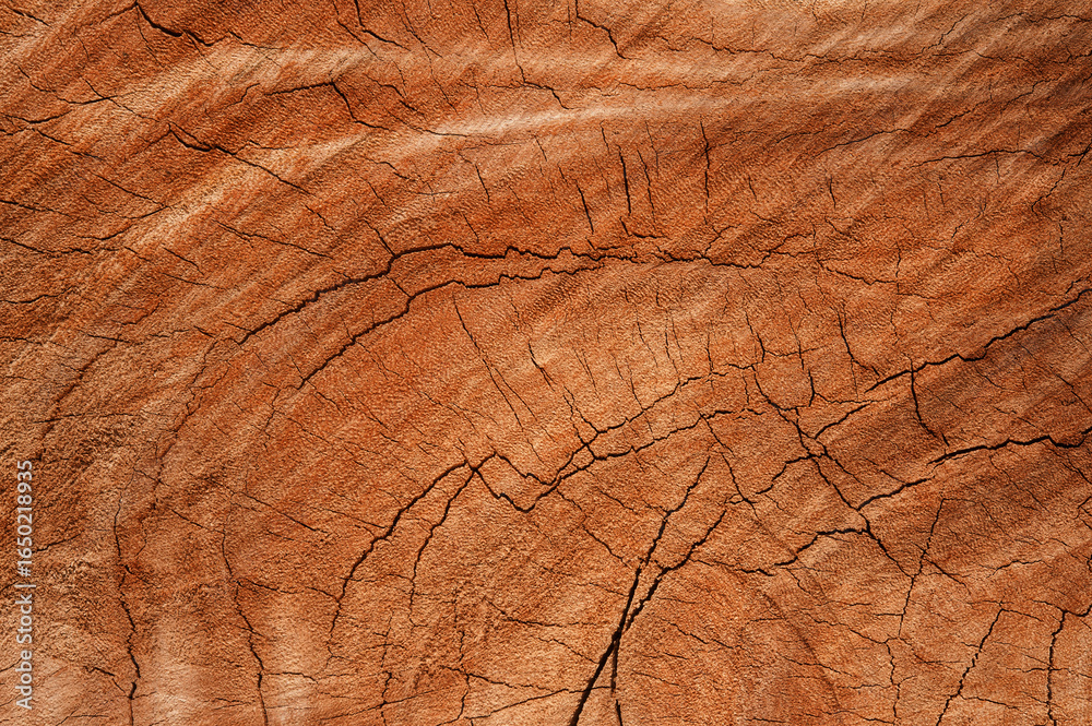 Fototapeta premium Cracked Reddish Wood Texture
