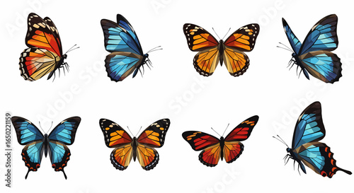 A collection of eight vibrantly colored butterflies, showcasing a variety of wing patterns and flight poses against a clean white background.