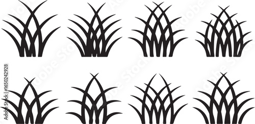 Black grass blades arranged in clusters white nature