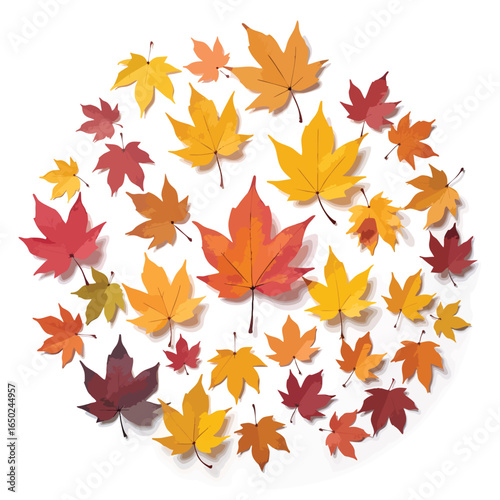 Colorful maple leaves arranged in a circle creates a natural and appealing seasonal design with warm autumnal colors on a white surface, perfect for backgrounds or designs.