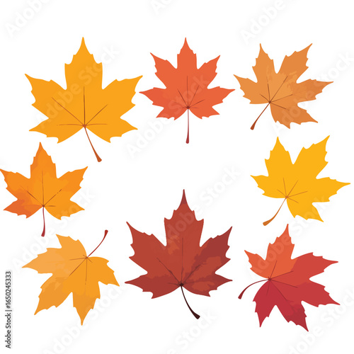Collection of vibrant maple leaves arranged in a circular pattern perfect for autumnal themes and seasonal graphics or crafts projects.
