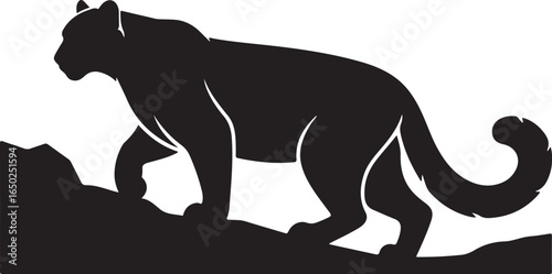 Majestic panther prowling through rugged terrain silhouette