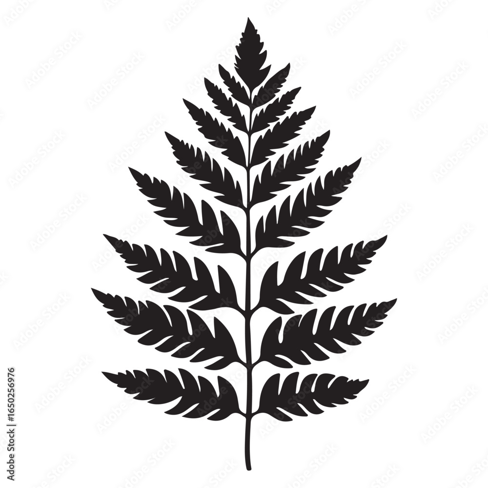Naklejka premium fern leaves logo vector silhouette illustration, fern leaf logo icon silhouette, bracken fern leaf silhouette vector illustration, black silhouette of a fern leaf on white background.