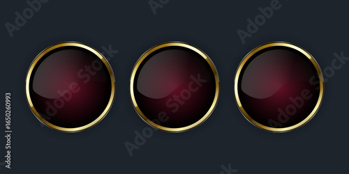 Set of three Luxury metalic shiny red buttons, icons design for web UI and three Digital Icons with Smooth rounded edges in lustrous gold border, vector illustration