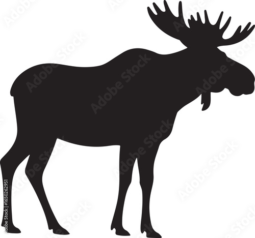 Black silhouette of a large male moose with impressive antlers standing animal wildlife
