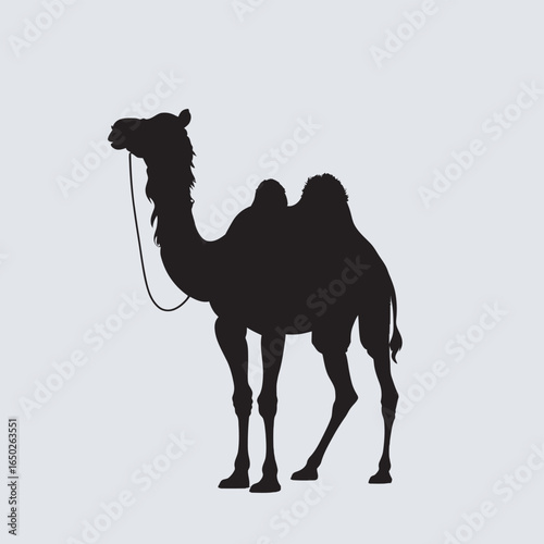 A stylized vector illustration of a wild camel, a lone desert mammal with a large hump, isolated against a white background