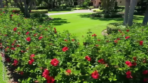 Wallpaper Mural Lush landscaping with vibrant red flowers Torontodigital.ca