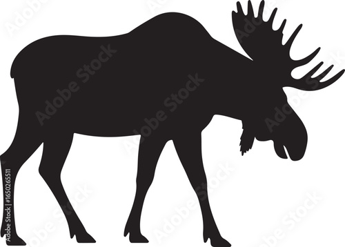 Black Silhouette of a Moose with Large Antlers on White Background animal wildlife
