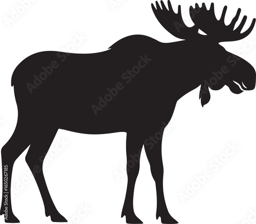 Black Silhouette Moose Standing On White Background With Large Antlers animal wildlife