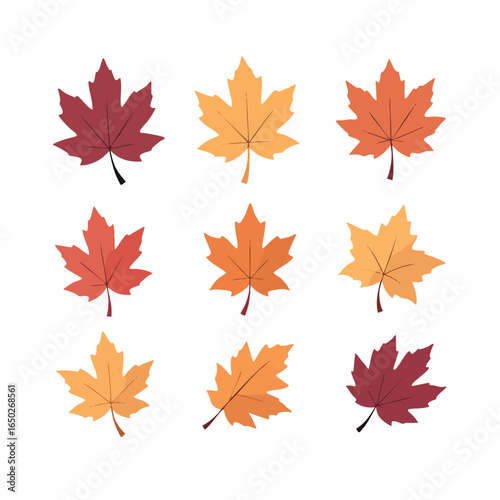 Collection of colorful maple leaves in various autumnal shades arranged on a clean white background Ideal for seasonal designs and decorations.
