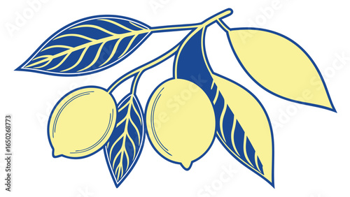 Yellow lemons on a branch with blue leaves fruit