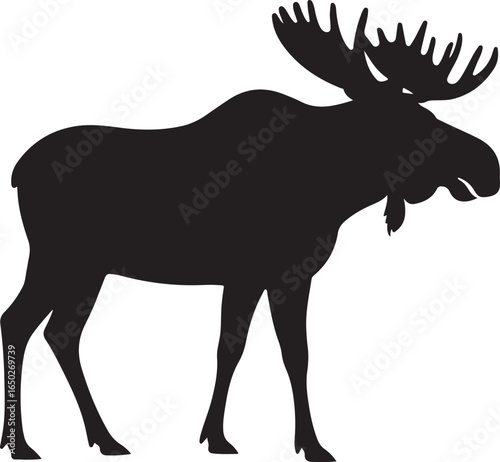 Black silhouette of a large bull moose with antlers on white background animal wildlife