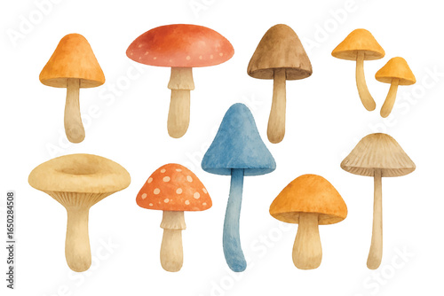 watercolor mushroom illustration bundle collection