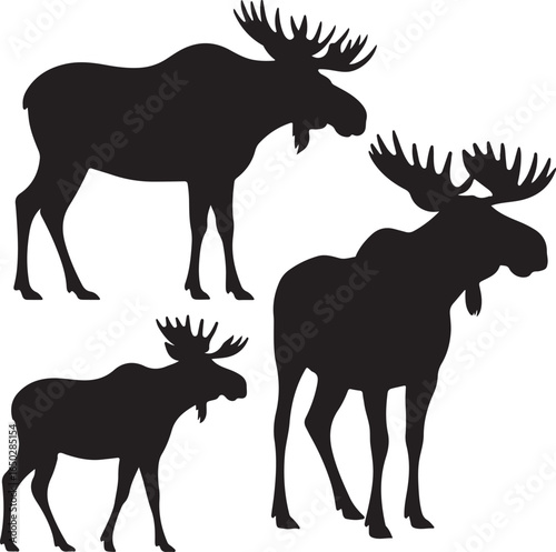 Three Black Silhouette Moose Poses Isolated on White Background for Design deer animal