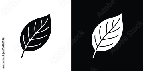 Black and White Leaf Illustration with Veins on Contrasting Backgrounds Design Element