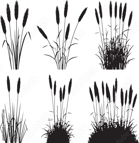 Tall grass stalks and blades reeds black