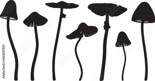 Various mushroom silhouettes fungi black
