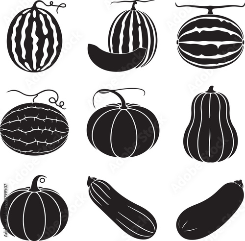 Watermelons melons pumpkins gourds zucchini cantaloupe