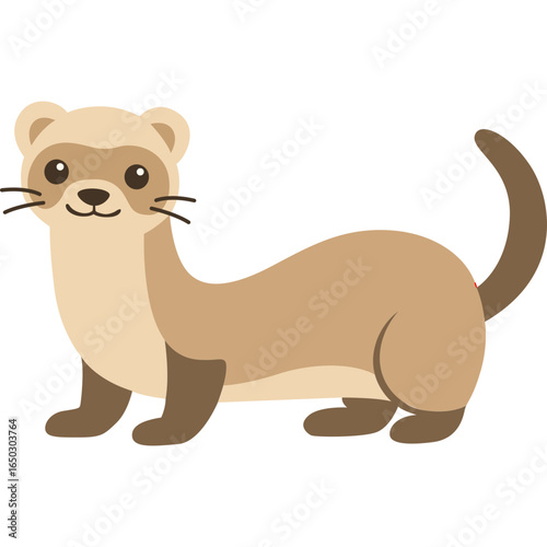Flat vector illustration of ferret animal standing on four legs with long body, isolated on white background for design.