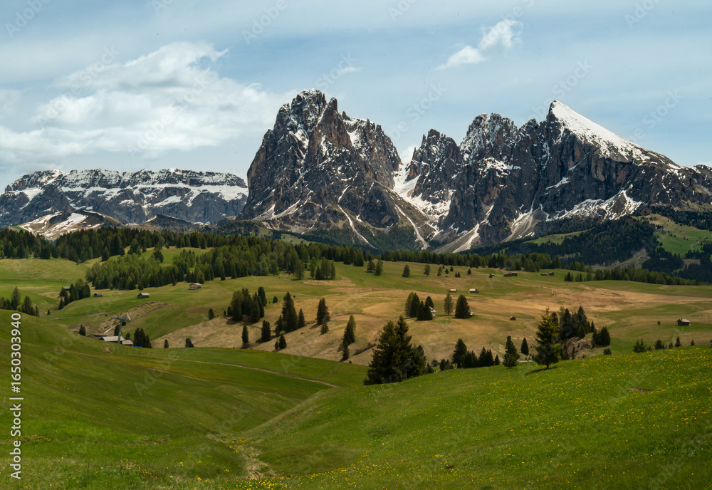 Alpe di Siusi - Seiser Alm Alpe di Siusi - Seiser Alm
