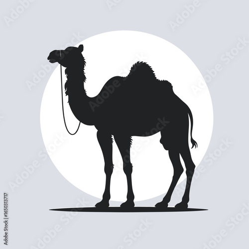 camel