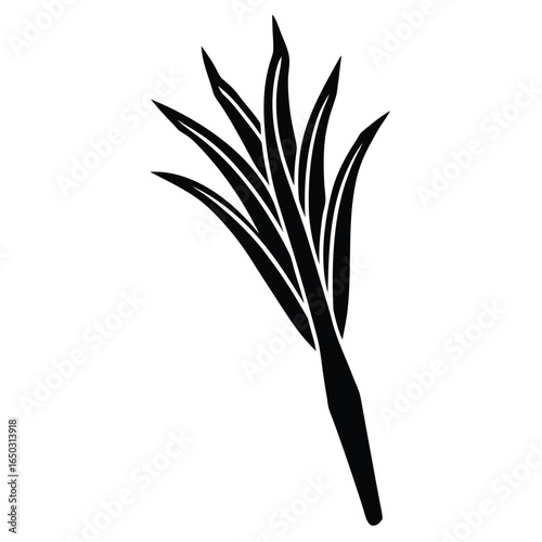lemongrass stalk vector icon