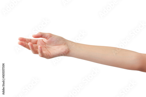 young woman's hands in beautiful poses on white background